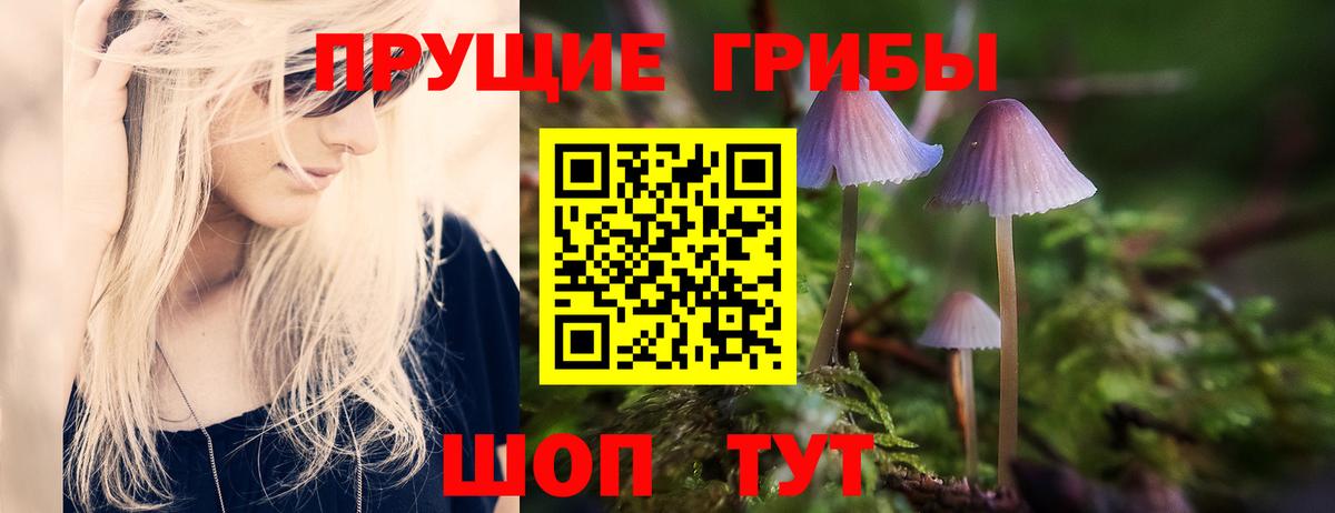 Кемерово  Псилоцибиновые грибы Cubensis  Псилоцибиновые грибы мицелий  Вход с VPN 
